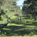 Rodil y Peñalisa (207)